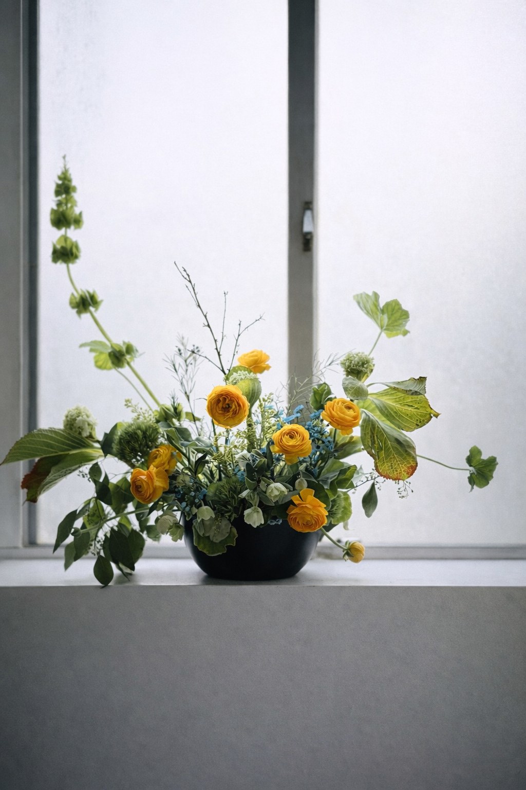 Sculptural ranunculus arrangement with bells of ireland in black vessel on windowsill