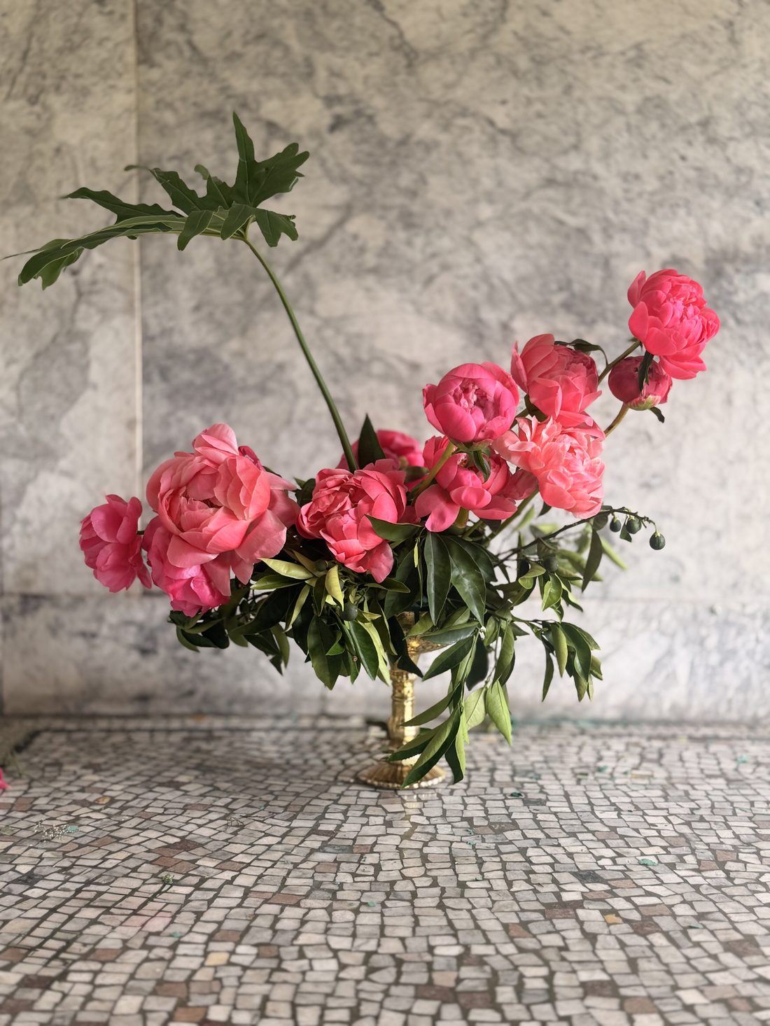 Coral peonies in a gold compote against marble